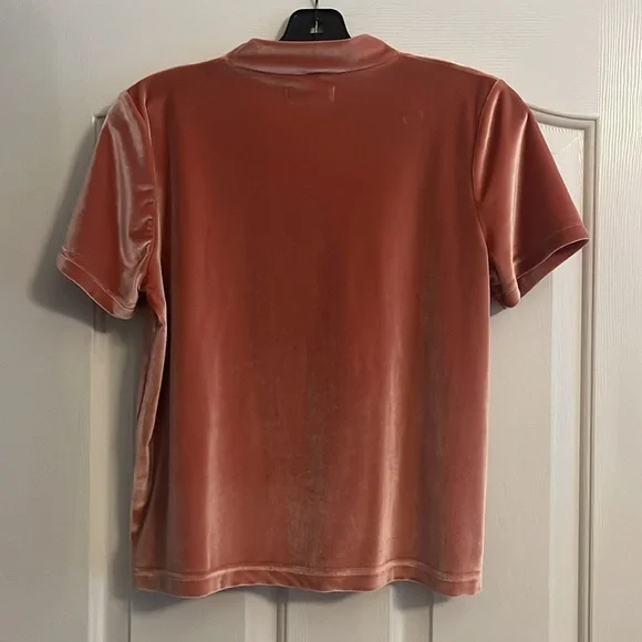 Madewell Velvet Tie-Neck Blouse in Apricot Rose - Picture 4 of 4